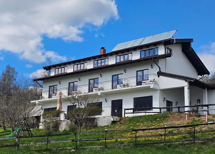 Pensiunea La Maison Bran 